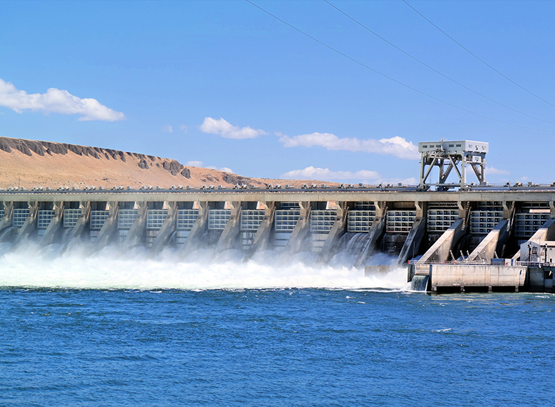 类器官和器官芯片成像