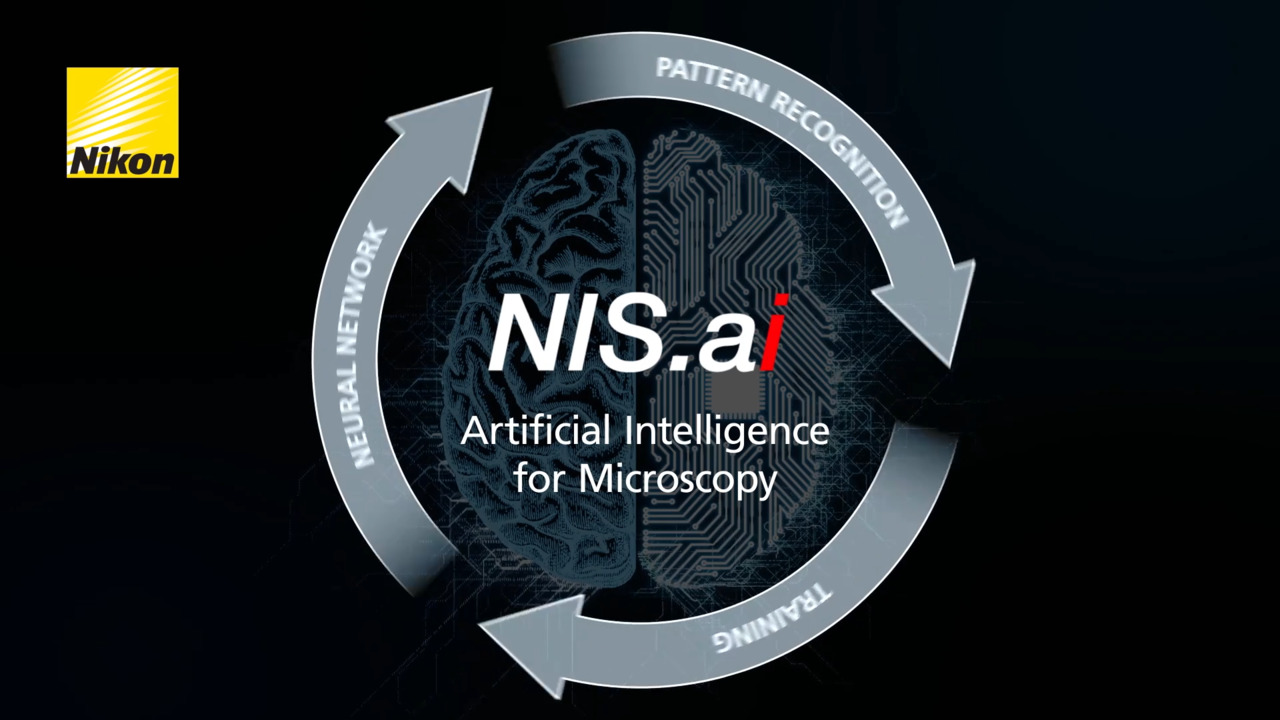 显微成像中的深度学习