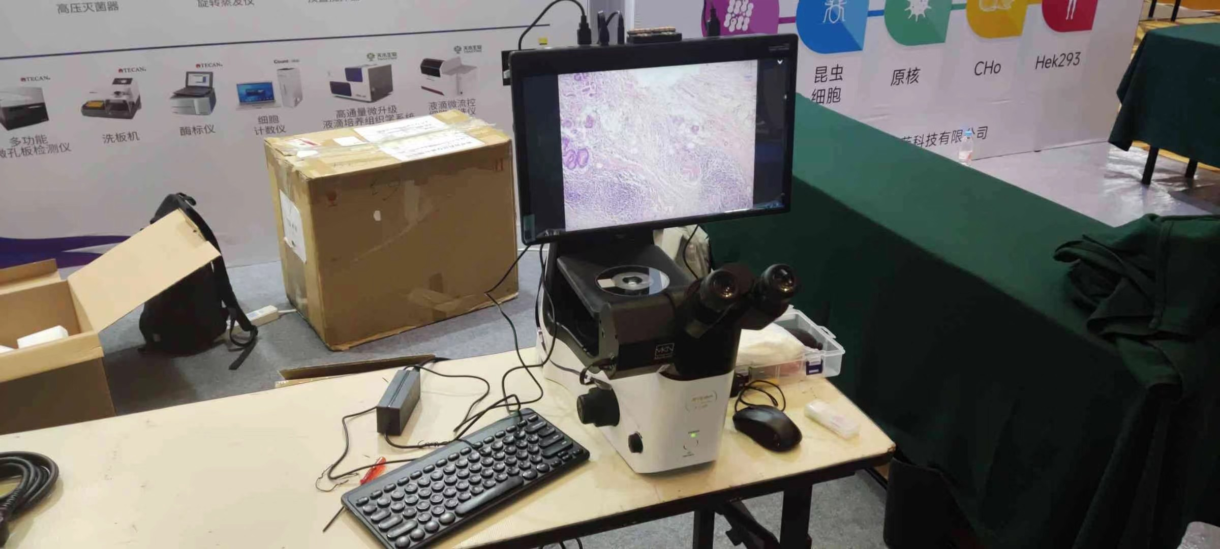 2023 BTE广州国际生物技术大会