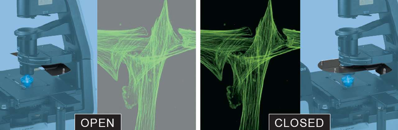 TS2R-contrast-shield_.jpg TS2R-contrast-shield_.jpg