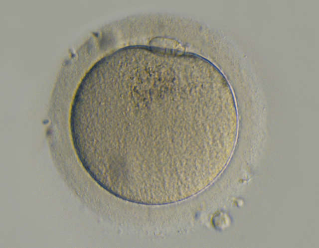 TS2R-emboss_eab673.jpg TS2R-emboss_eab673.jpg