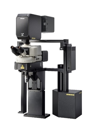 Nikon发布超高分辨率多光子共聚焦显微镜“AX R MP with NSPARC”